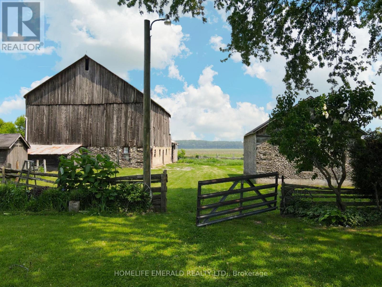 10187 County Road 10 Road, Clearview, Ontario  L0M 1N0 - Photo 4 - S12206014