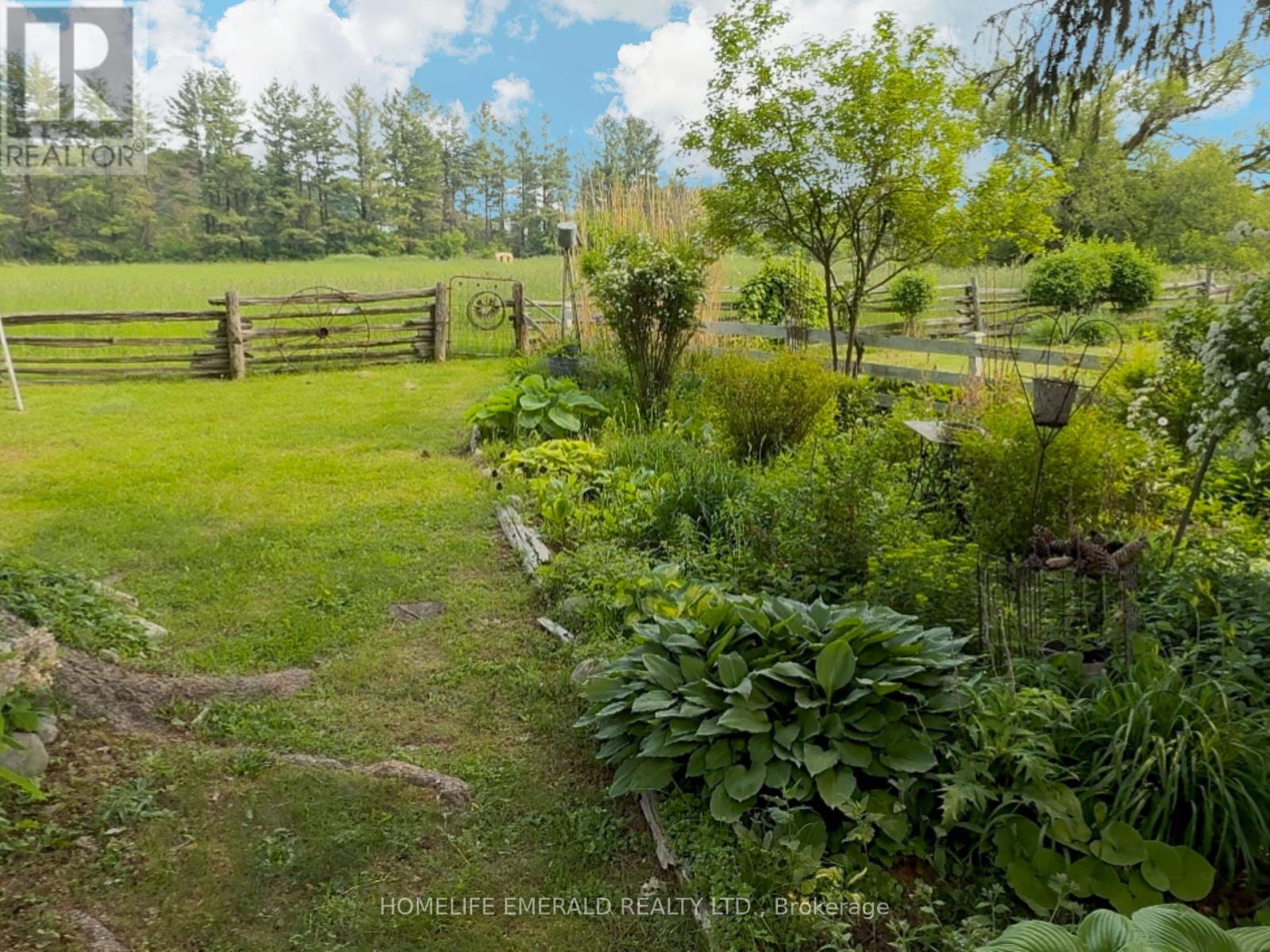 10187 County Road 10 Road, Clearview, Ontario  L0M 1N0 - Photo 43 - S12206014