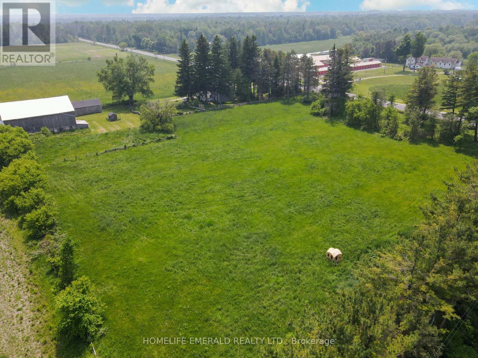 10187 County Road 10 Road, Clearview, Ontario  L0M 1N0 - Photo 48 - S12206014