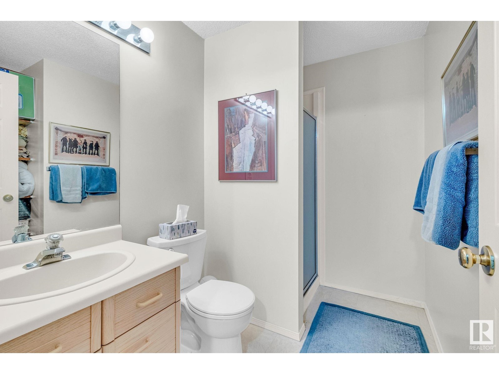 3720 32 St Nw, Edmonton, Alberta  T6T 1G1 - Photo 37 - E4441279