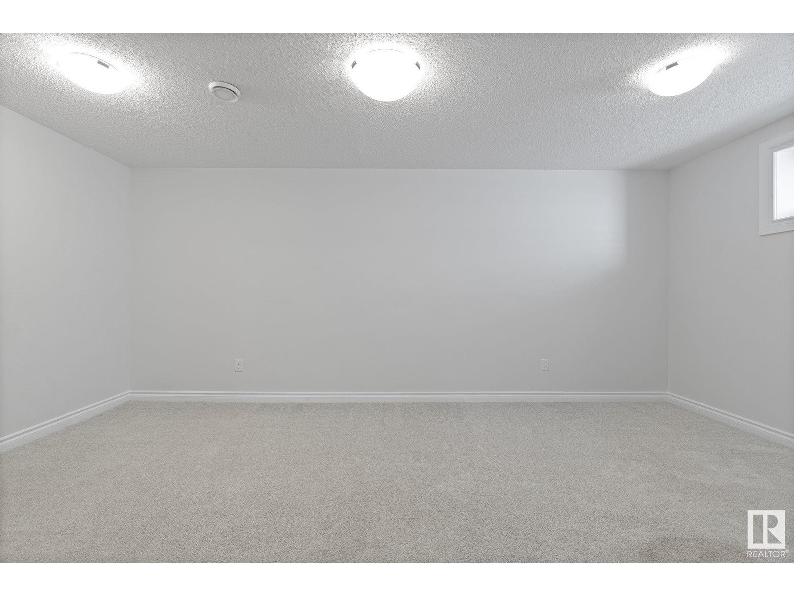 21303 91 Av Nw, Edmonton, Alberta  T5T 6Y9 - Photo 36 - E4441275