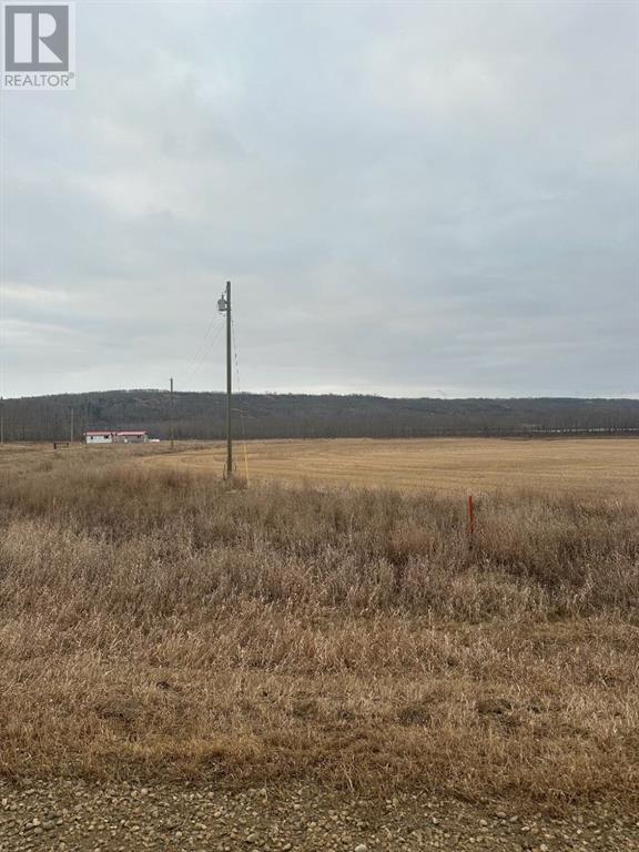 4-1-2121458 242a Range, Rural Birch Hills County, Alberta  T0H 3R0 - Photo 1 - A2229174