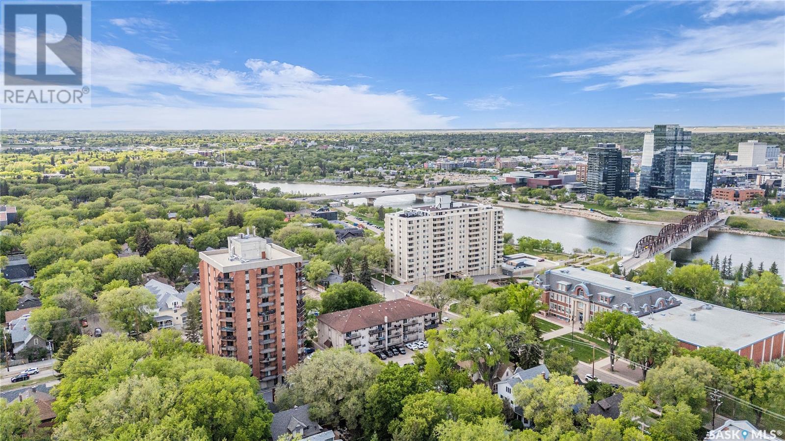 204 717 VICTORIA AVENUE, Saskatoon, Saskatchewan