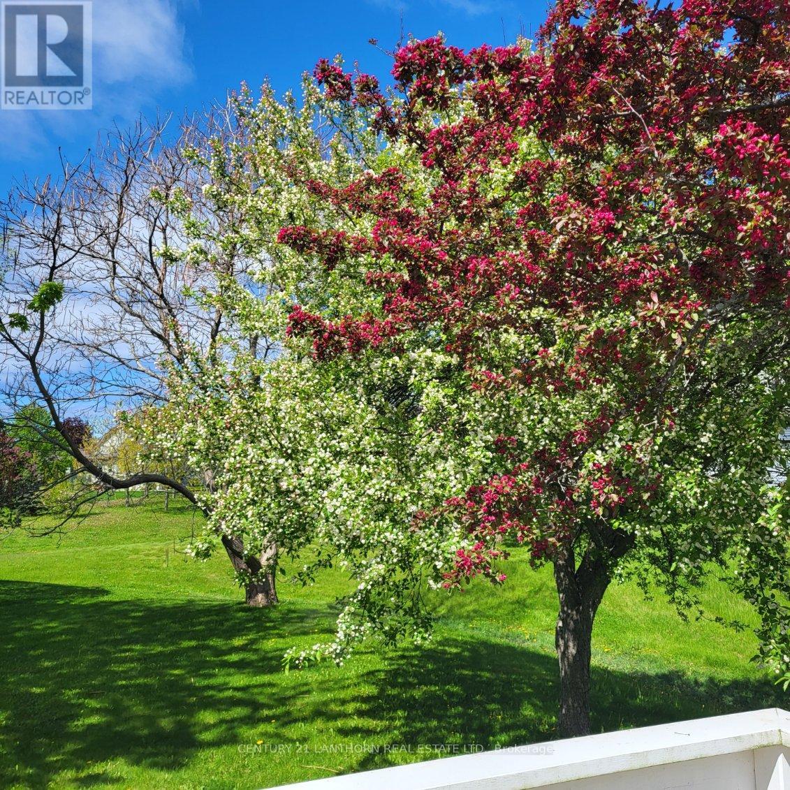 9 Reynolds Place, Prince Edward County, Ontario  K0K 3L0 - Photo 29 - X11941422
