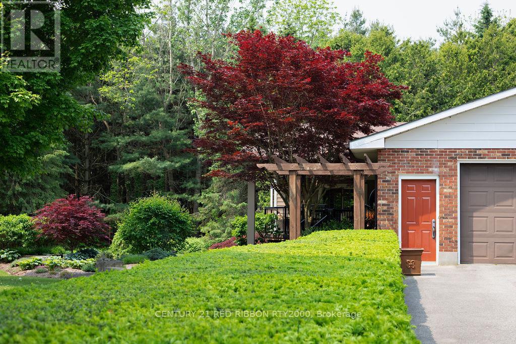 24387 Saxton Road, Strathroy-Caradoc, Ontario  N7G 3H4 - Photo 40 - X12206392
