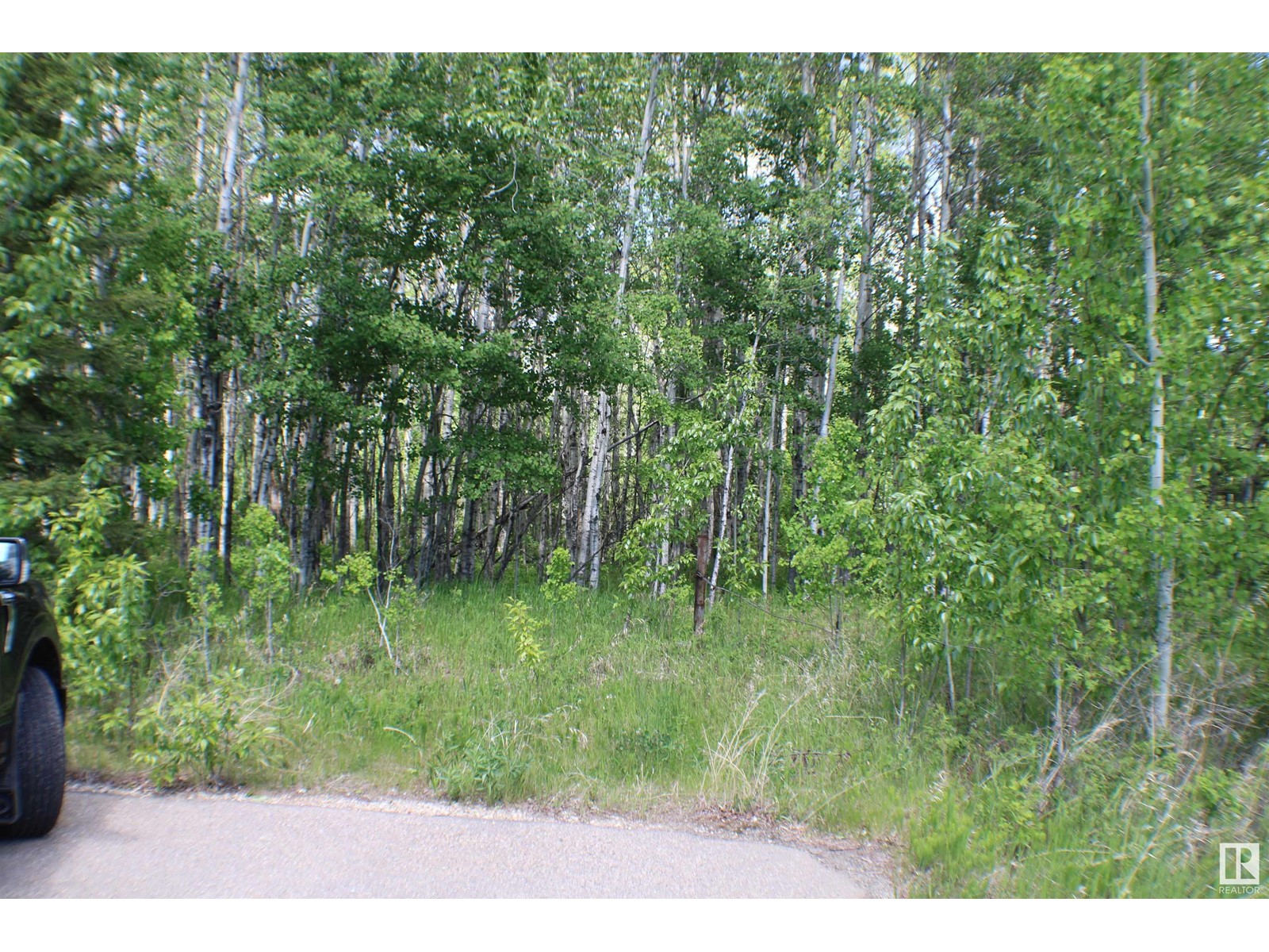 3010 Parkland Dr, Rural Parkland County, Alberta  T7Y 2S5 - Photo 14 - E4391926