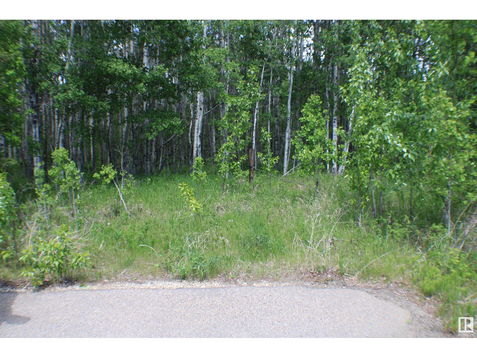 3014 Parkland Dr, Rural Parkland County, Alberta  T7Y 2S5 - Photo 7 - E4391931