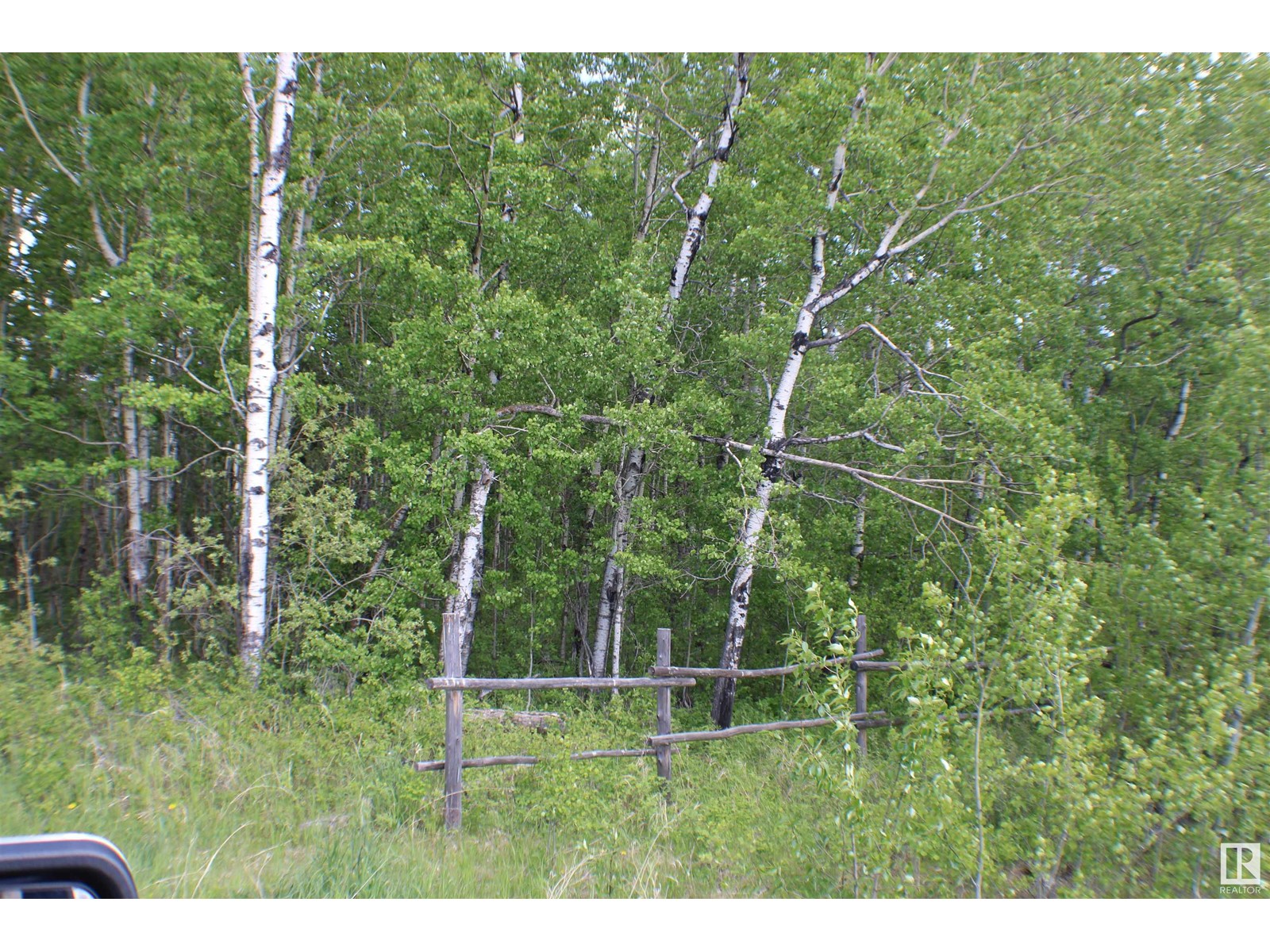 3014 Parkland Dr, Rural Parkland County, Alberta  T7Y 2S5 - Photo 4 - E4391931