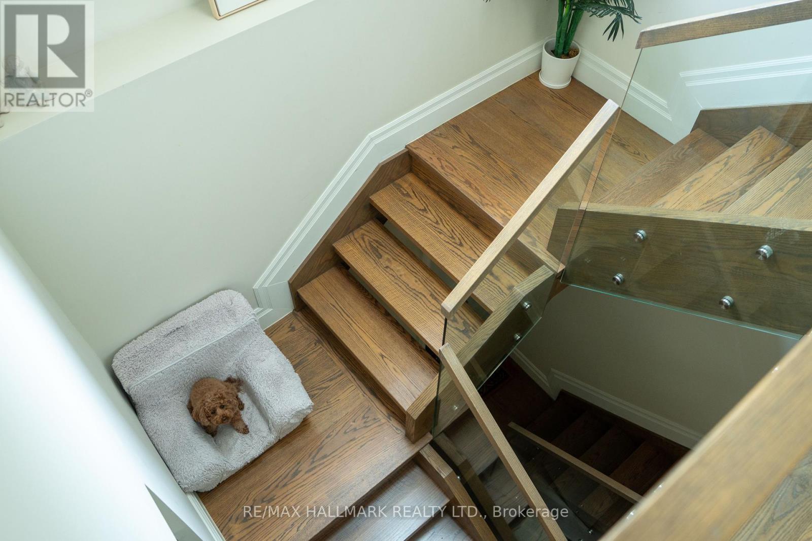 344 Glebemount Avenue, Toronto, Ontario  M4C 3V5 - Photo 9 - E12206361