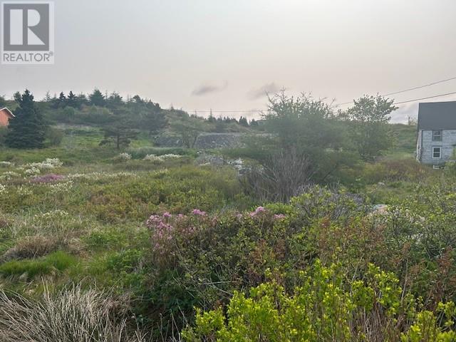 21 Front Road, Renews, Newfoundland & Labrador
