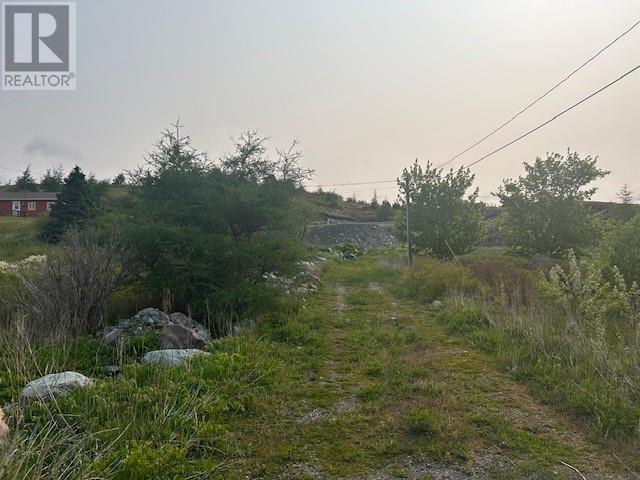 21 Front Road, Renews, Newfoundland & Labrador  A0A 3N0 - Photo 2 - 1286153