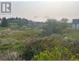 21 Front Road, Renews, Newfoundland & Labrador