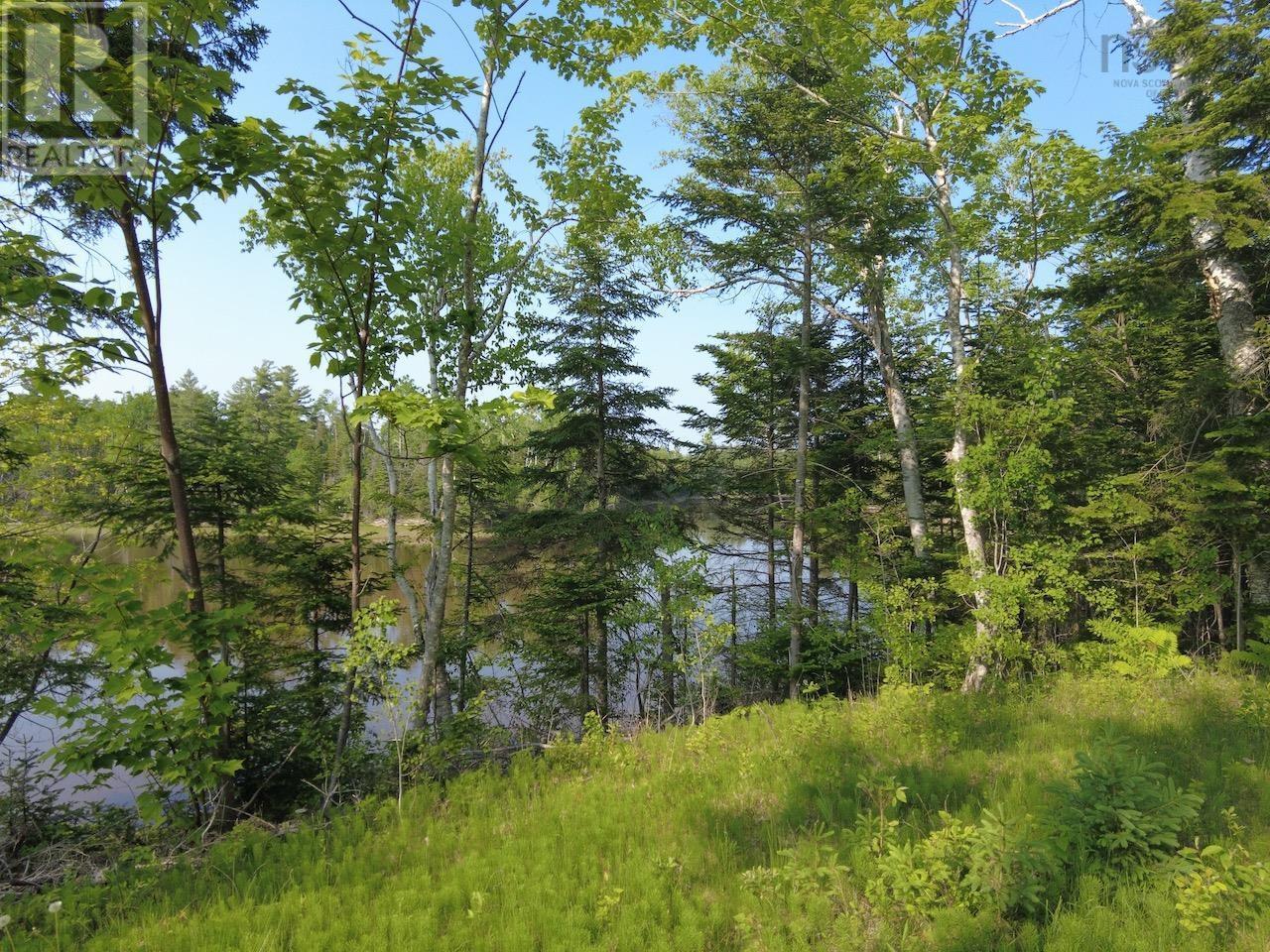 321 Lot 2010 1 And 2 Highway, Rockley, Nova Scotia  B0K 1K0 - Photo 20 - 202513923