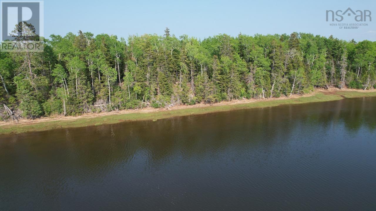 321 Lot 2010 1 And 2 Highway, Rockley, Nova Scotia  B0K 1K0 - Photo 8 - 202513923