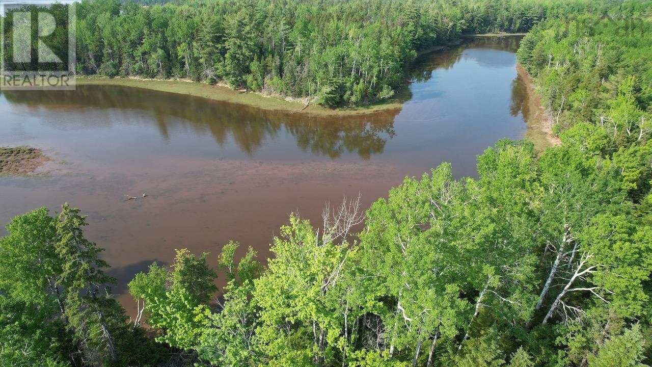 321 Lot 2010 1 And 2 Highway, Rockley, Nova Scotia  B0K 1K0 - Photo 11 - 202513923