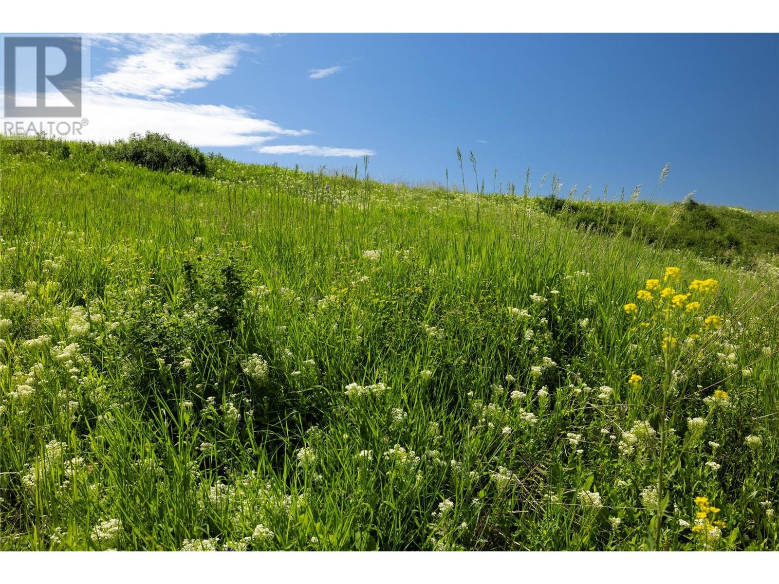 3914 Hornby Terrace Lot# 15, Armstrong, British Columbia  V0E 1B2 - Photo 43 - 10351242