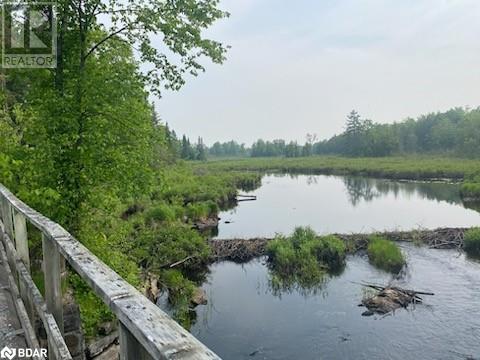 Lot 30 Highway 62, Madoc, Ontario  K0K 2K0 - Photo 11 - 40738818