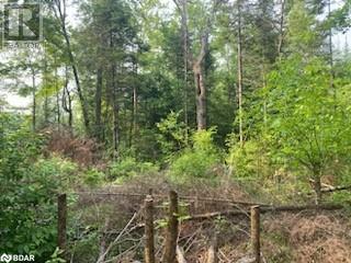 Lot 30 Highway 62, Madoc, Ontario  K0K 2K0 - Photo 12 - 40738818