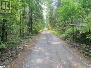 Lot 30 Highway 62, Madoc, Ontario  K0K 2K0 - Photo 8 - 40738818