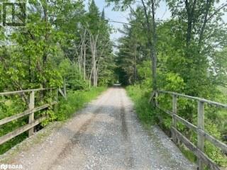 Lot 30 Highway 62, Madoc, Ontario  K0K 2K0 - Photo 9 - 40738818