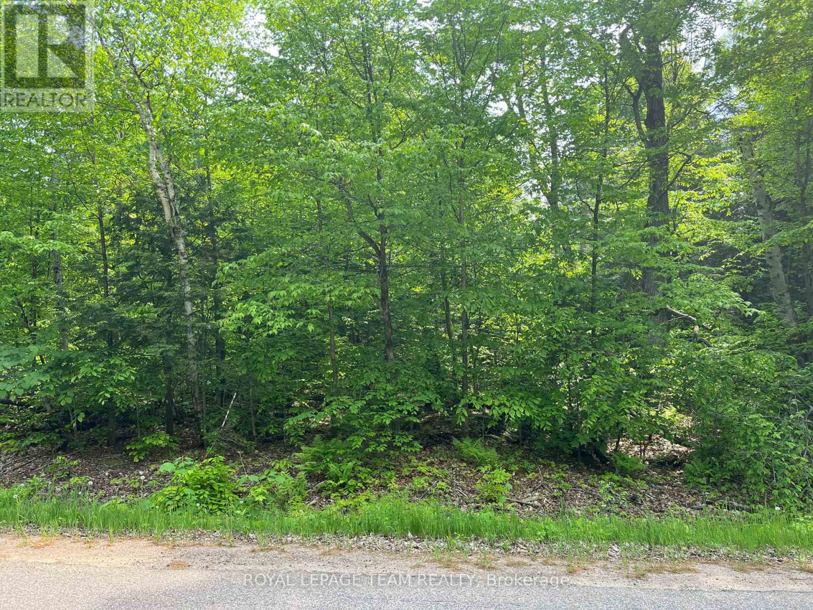 387 Sunny Hill Road, Madawaska Valley, Ontario  K0J 1B0 - Photo 5 - X12049772
