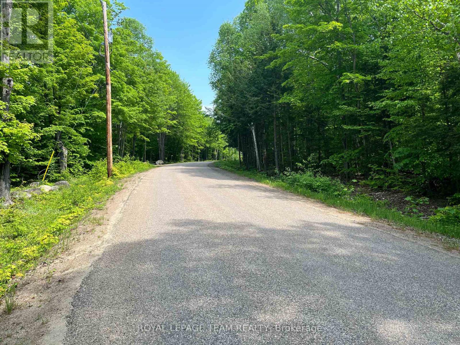 387 Sunny Hill Road, Madawaska Valley, Ontario  K0J 1B0 - Photo 3 - X12049772