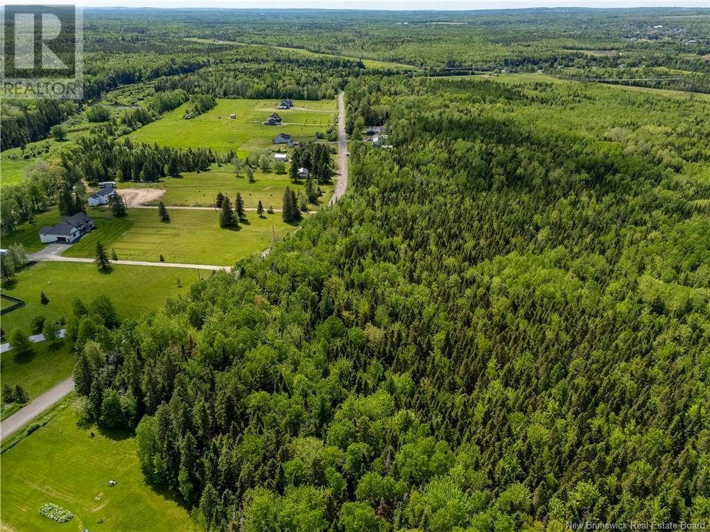 Lot 11 Mollins Road, Colpitts Settlement, New Brunswick  E4J 2X4 - Photo 7 - NB111798