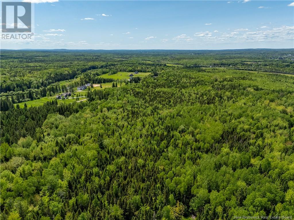 Lot 5 Route 895, Colpitts Settlement, New Brunswick  E4J 2Z5 - Photo 8 - NB111790