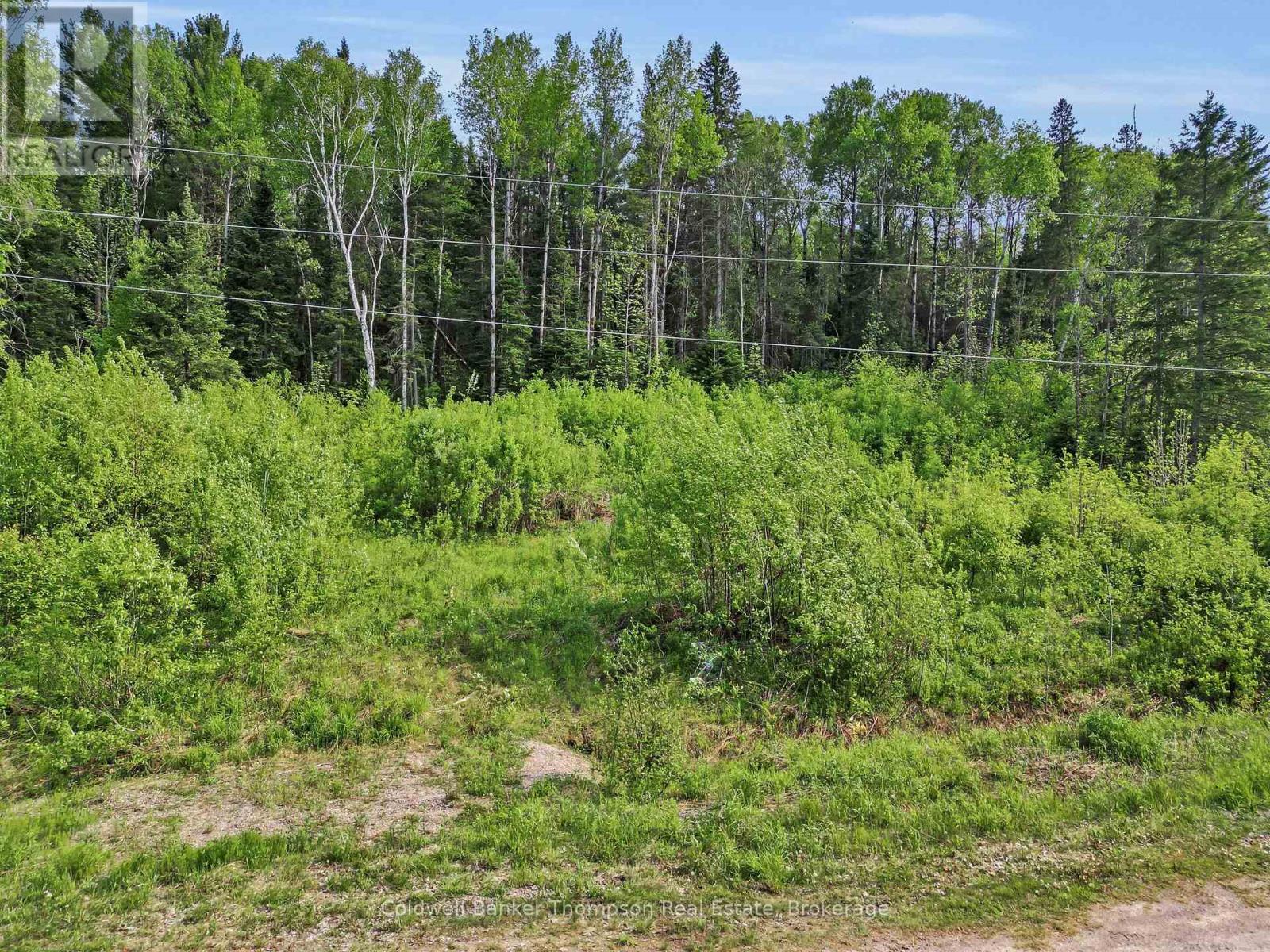 219 Doe Lake Road, Armour, Ontario P0A 1L0 - Photo 4 - X12125008