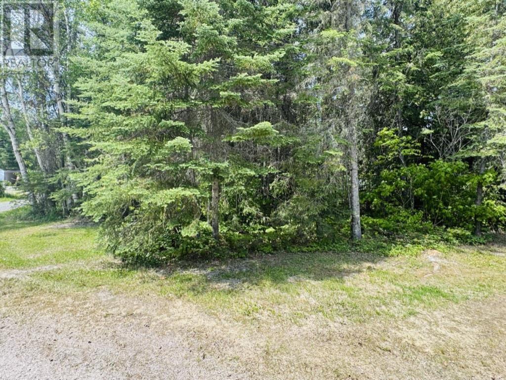 306 Bonny Bay Rd, Dryden, Ontario  P8N 2Y4 - Photo 5 - TB251584