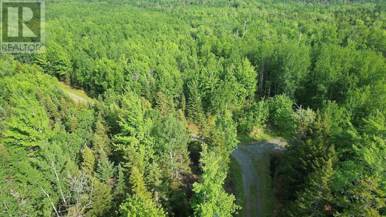 321 Lot 2010 1 And 2 Highway, Rockley, Nova Scotia  B0K 1K0 - Photo 29 - 202513923