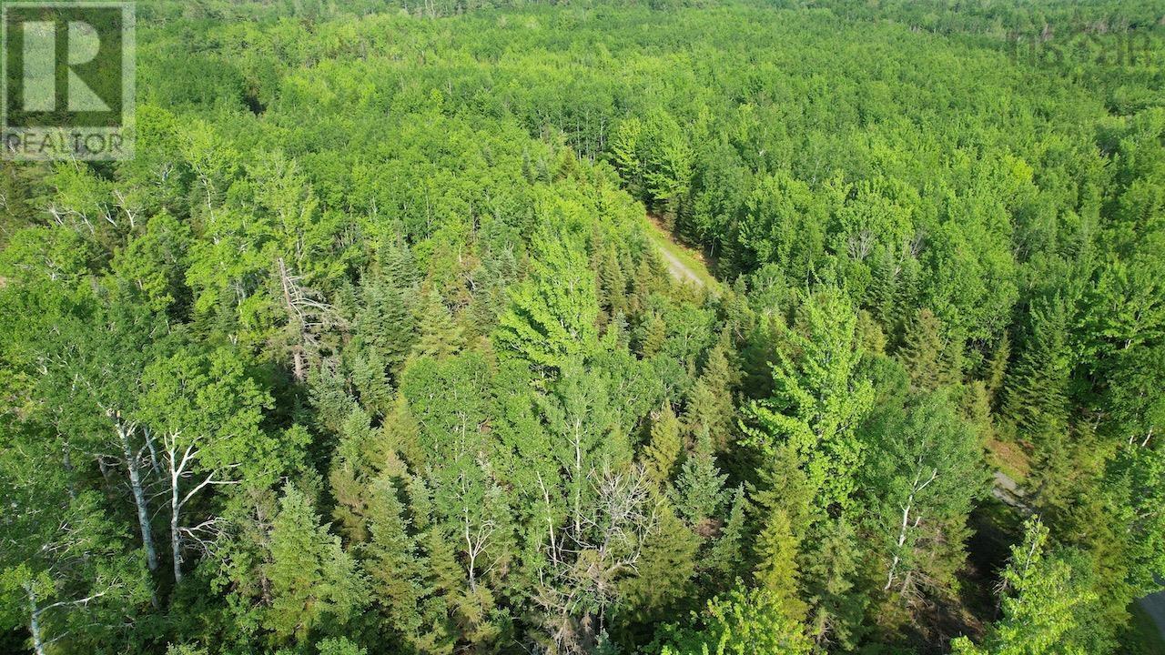 321 Lot 2010 1 And 2 Highway, Rockley, Nova Scotia  B0K 1K0 - Photo 28 - 202513923