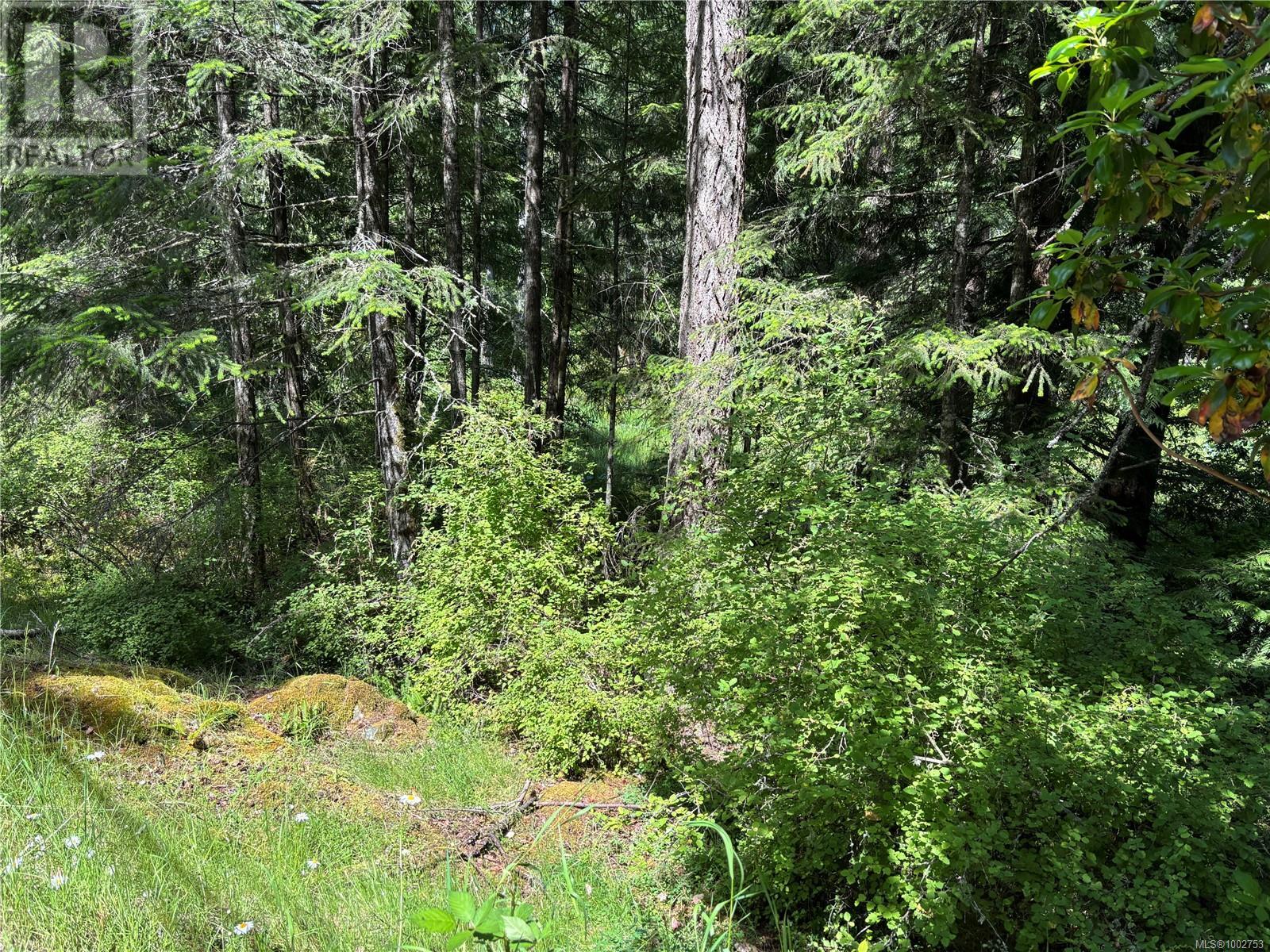 5596 Munn Rd, Highlands, British Columbia  V9E 1G7 - Photo 11 - 1002753