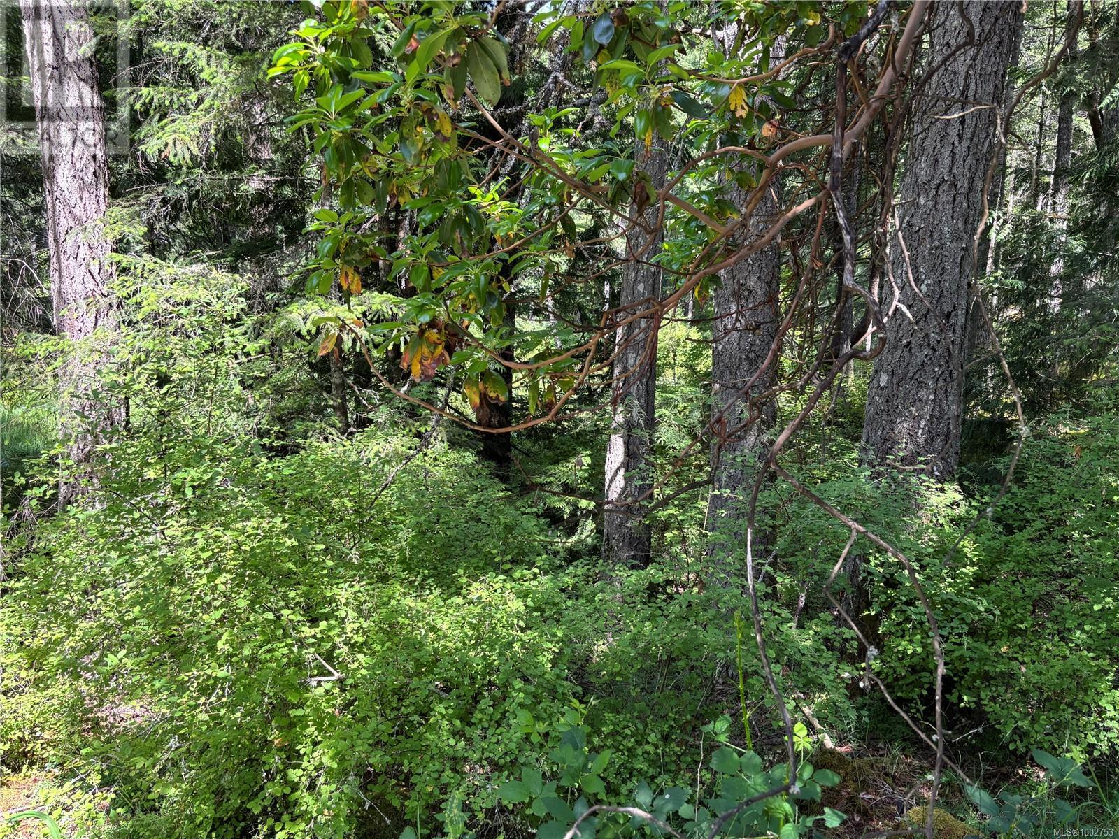5596 Munn Rd, Highlands, British Columbia  V9E 1G7 - Photo 12 - 1002753