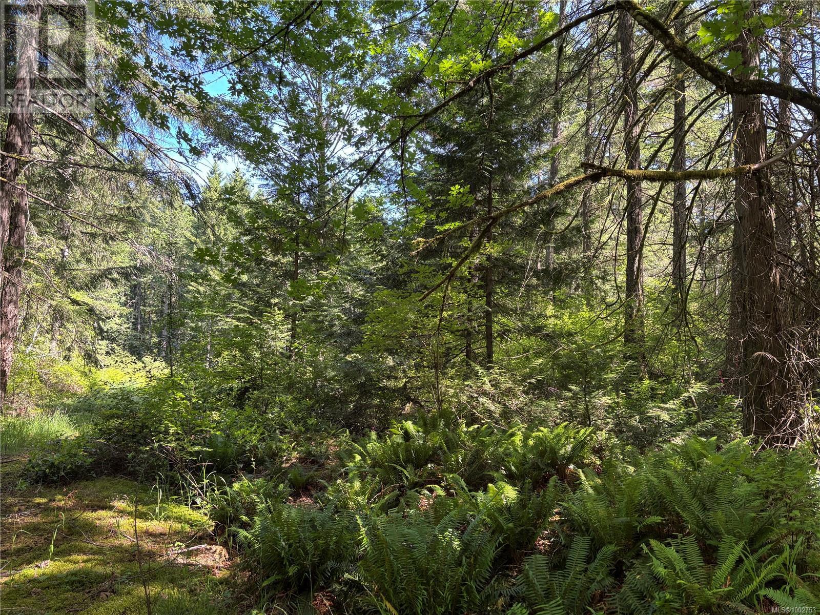 5596 Munn Rd, Highlands, British Columbia  V9E 1G7 - Photo 3 - 1002753