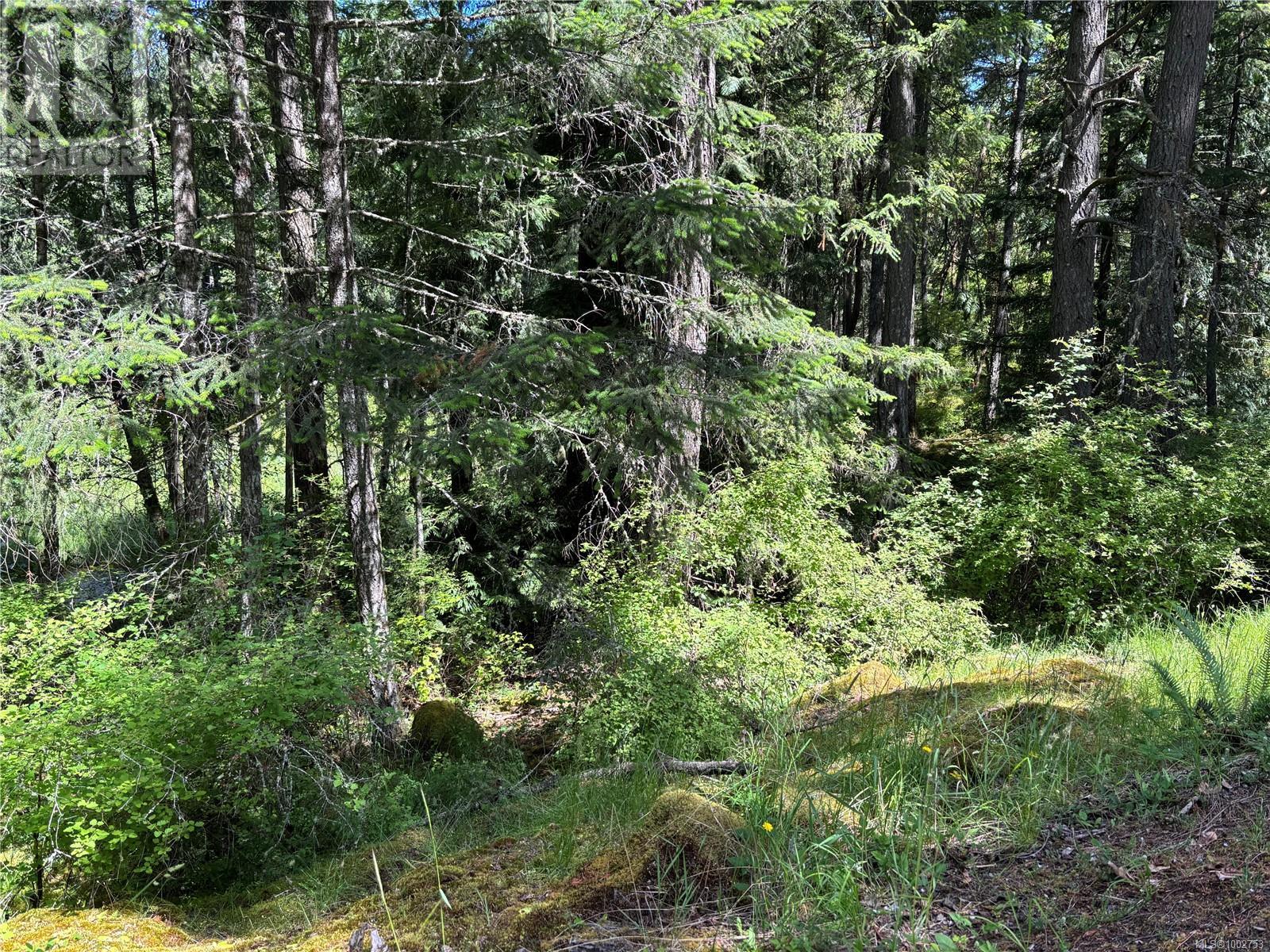 5596 Munn Rd, Highlands, British Columbia  V9E 1G7 - Photo 5 - 1002753