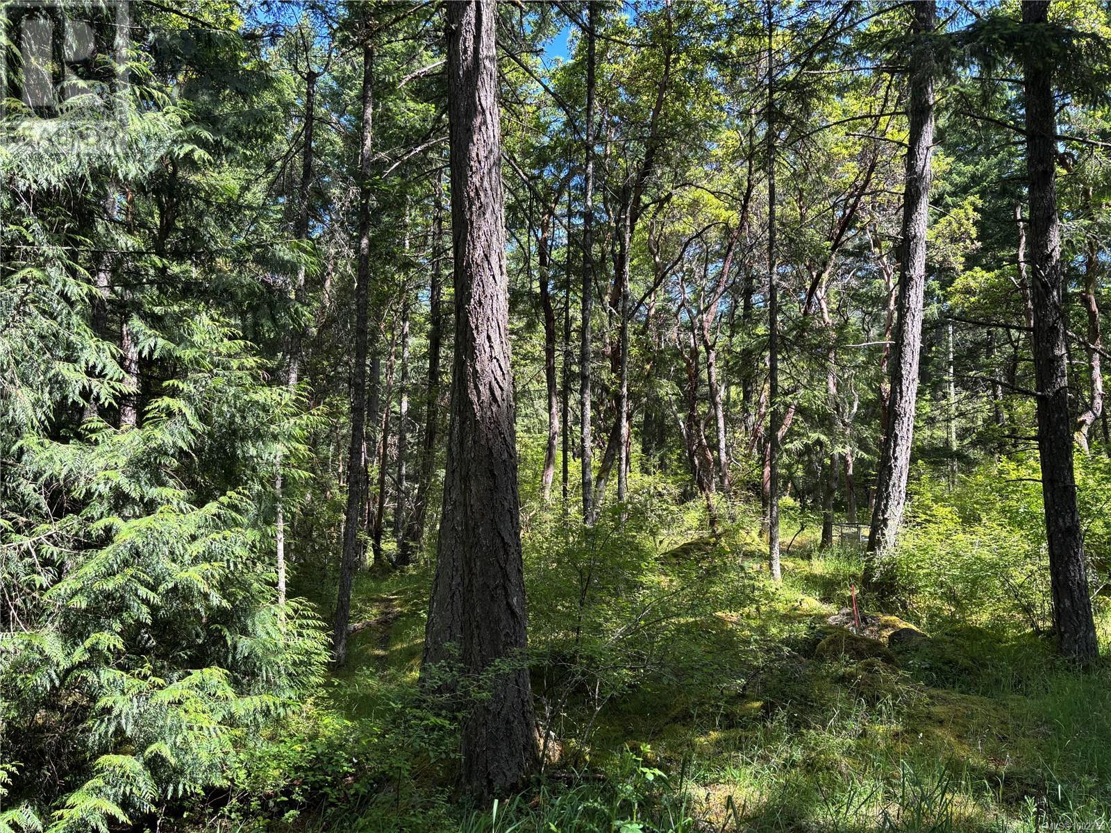 5596 Munn Rd, Highlands, British Columbia  V9E 1G7 - Photo 7 - 1002753