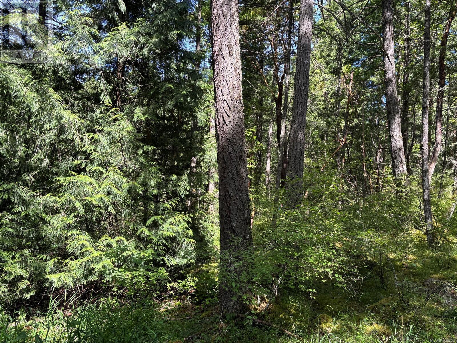 5596 Munn Rd, Highlands, British Columbia  V9E 1G7 - Photo 9 - 1002753