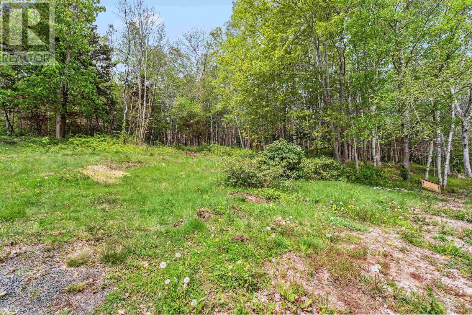 377 Shore Road, Bay View, Nova Scotia  B0V 1A0 - Photo 17 - 202512523