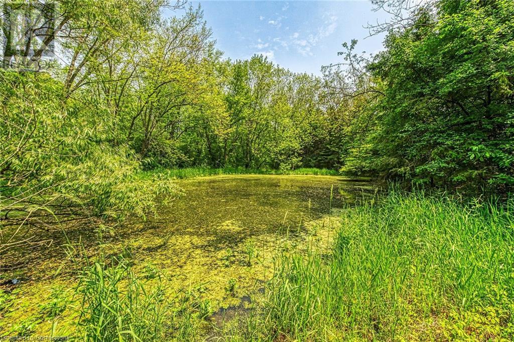 99 Sawmill Road, Ancaster, Ontario  N3W 2G9 - Photo 37 - 40738896