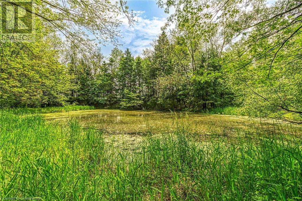 99 Sawmill Road, Ancaster, Ontario  N3W 2G9 - Photo 38 - 40738896
