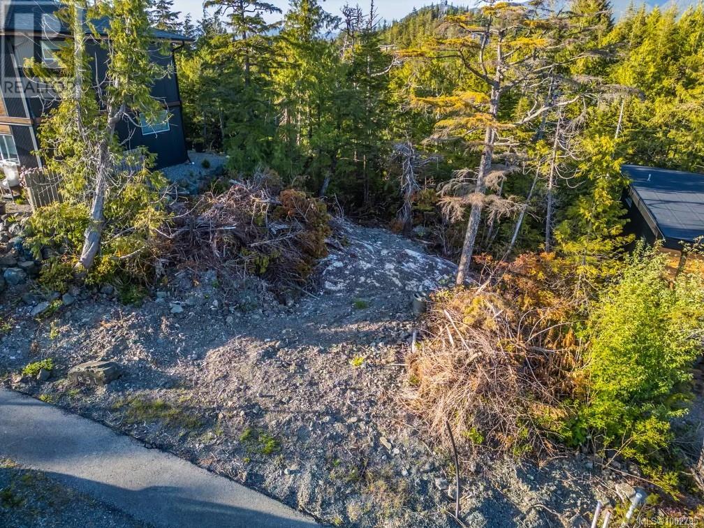 851 Lorne White Pl, Ucluelet, British Columbia  V0R 3A0 - Photo 5 - 1002795