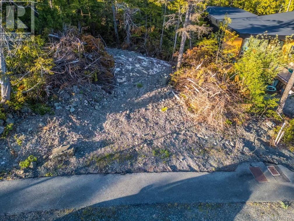 851 Lorne White Pl, Ucluelet, British Columbia  V0R 3A0 - Photo 9 - 1002795