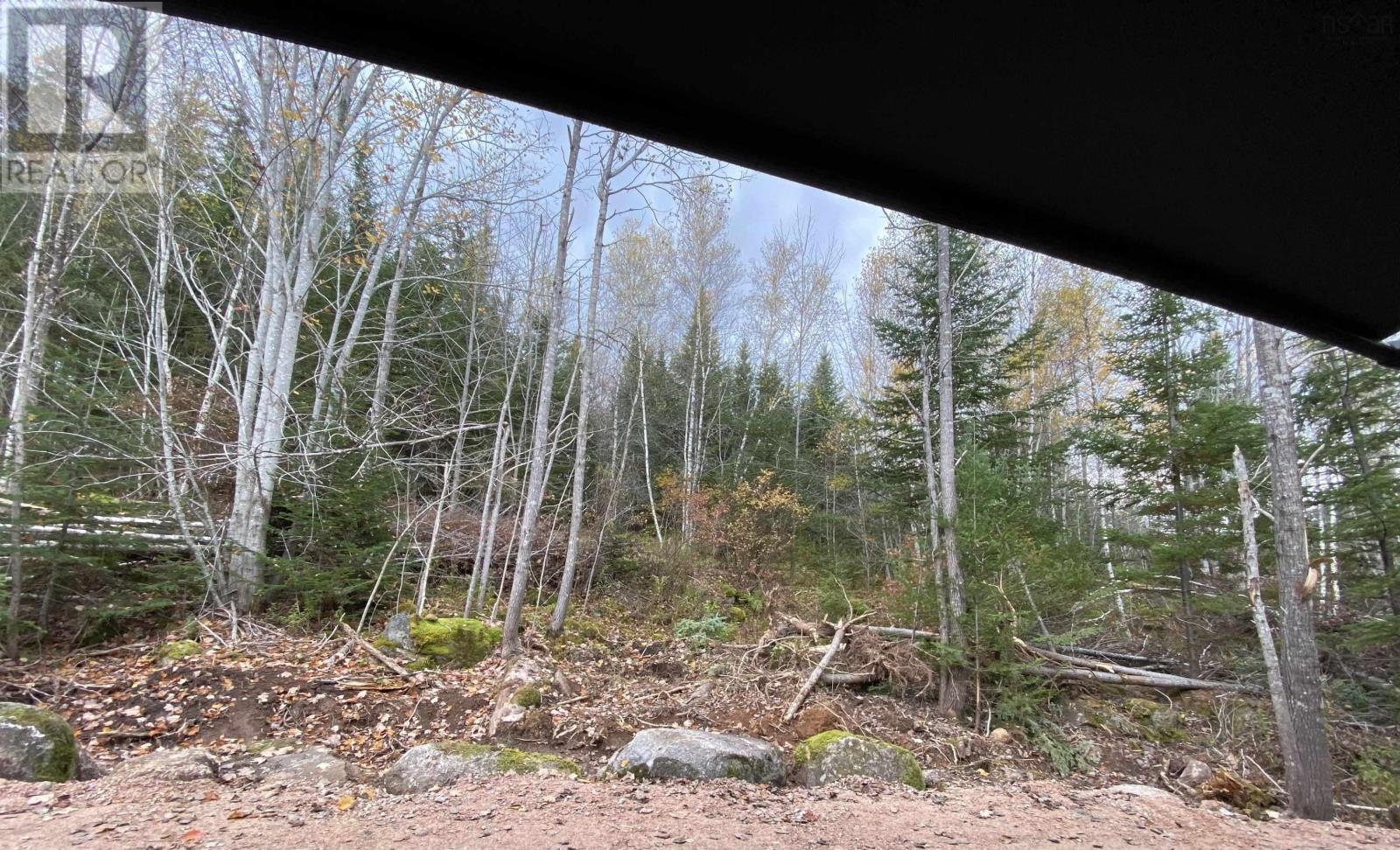 1210 Highway 10, Springfield, Nova Scotia  B0R 1H0 - Photo 9 - 202513412