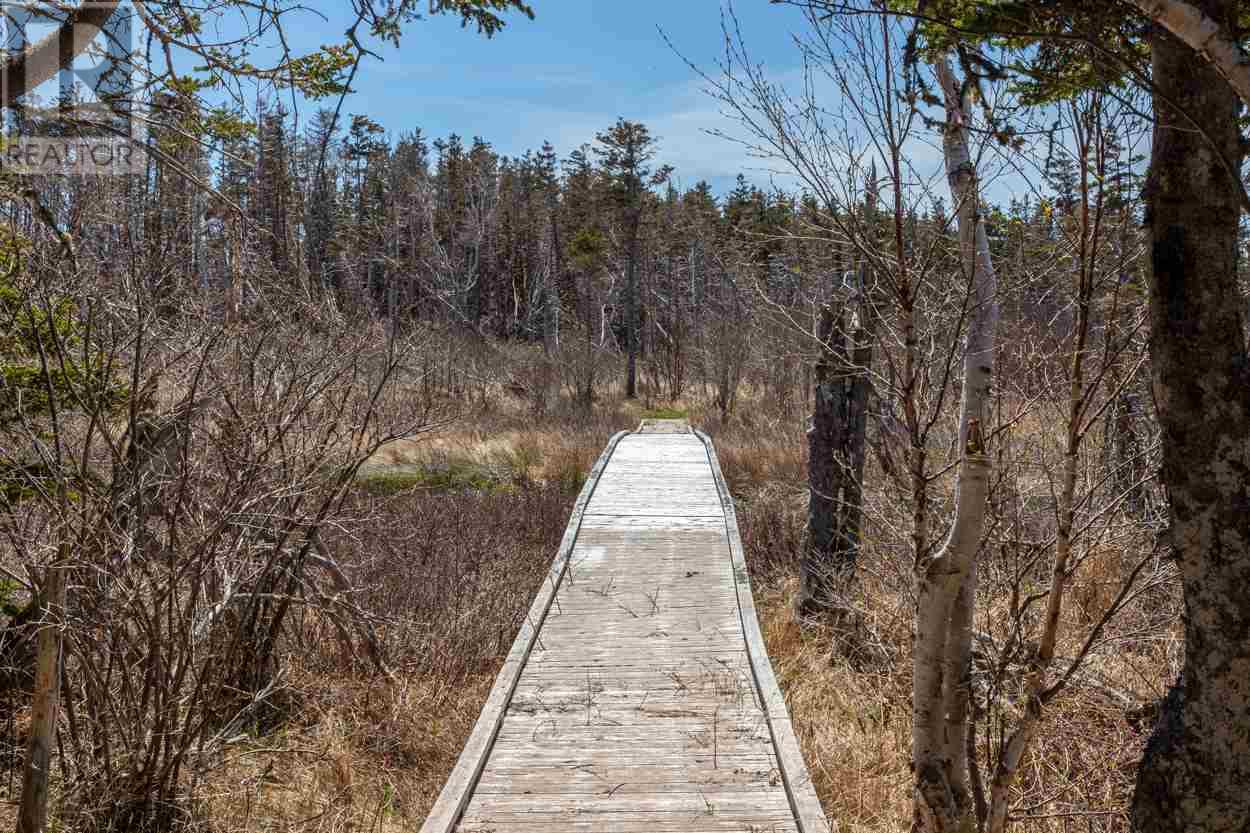 Acreage Glory Lane, Elmira, Prince Edward Island  C0A 2B0 - Photo 5 - 202513963