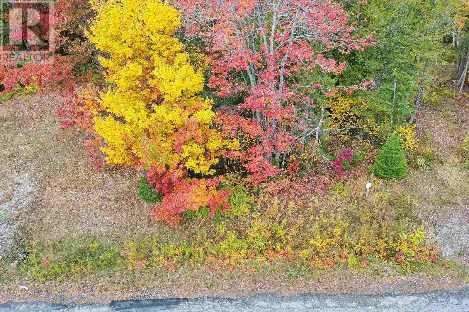 34 Lighthouse Point (Lot 28), Thessalon, Ontario  P0R 1L0 - Photo 16 - SM242763