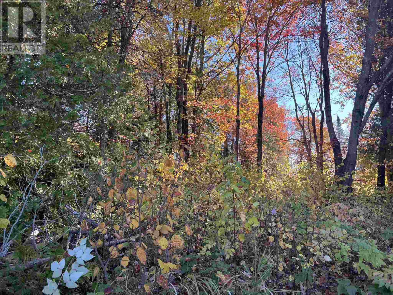 34 Lighthouse Point (Lot 28), Thessalon, Ontario  P0R 1L0 - Photo 29 - SM242763