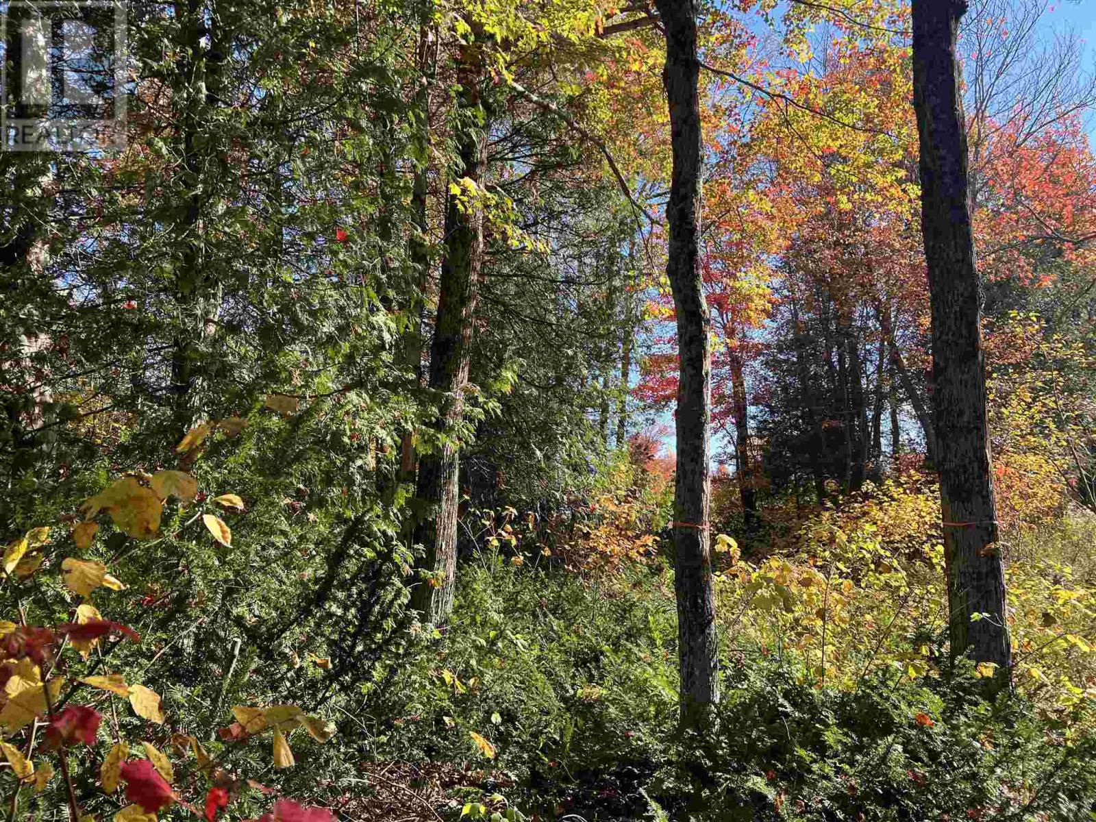 34 Lighthouse Point (Lot 28), Thessalon, Ontario  P0R 1L0 - Photo 31 - SM242763