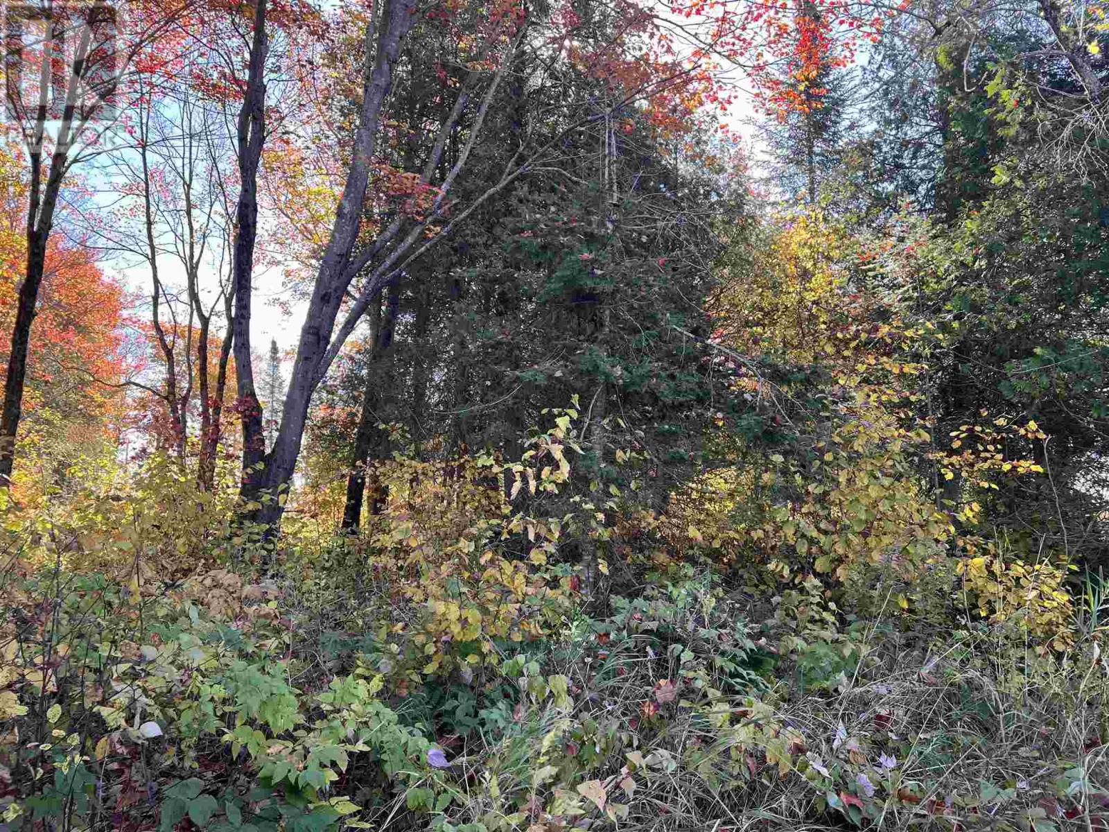 34 Lighthouse Point (Lot 28), Thessalon, Ontario  P0R 1L0 - Photo 27 - SM242763