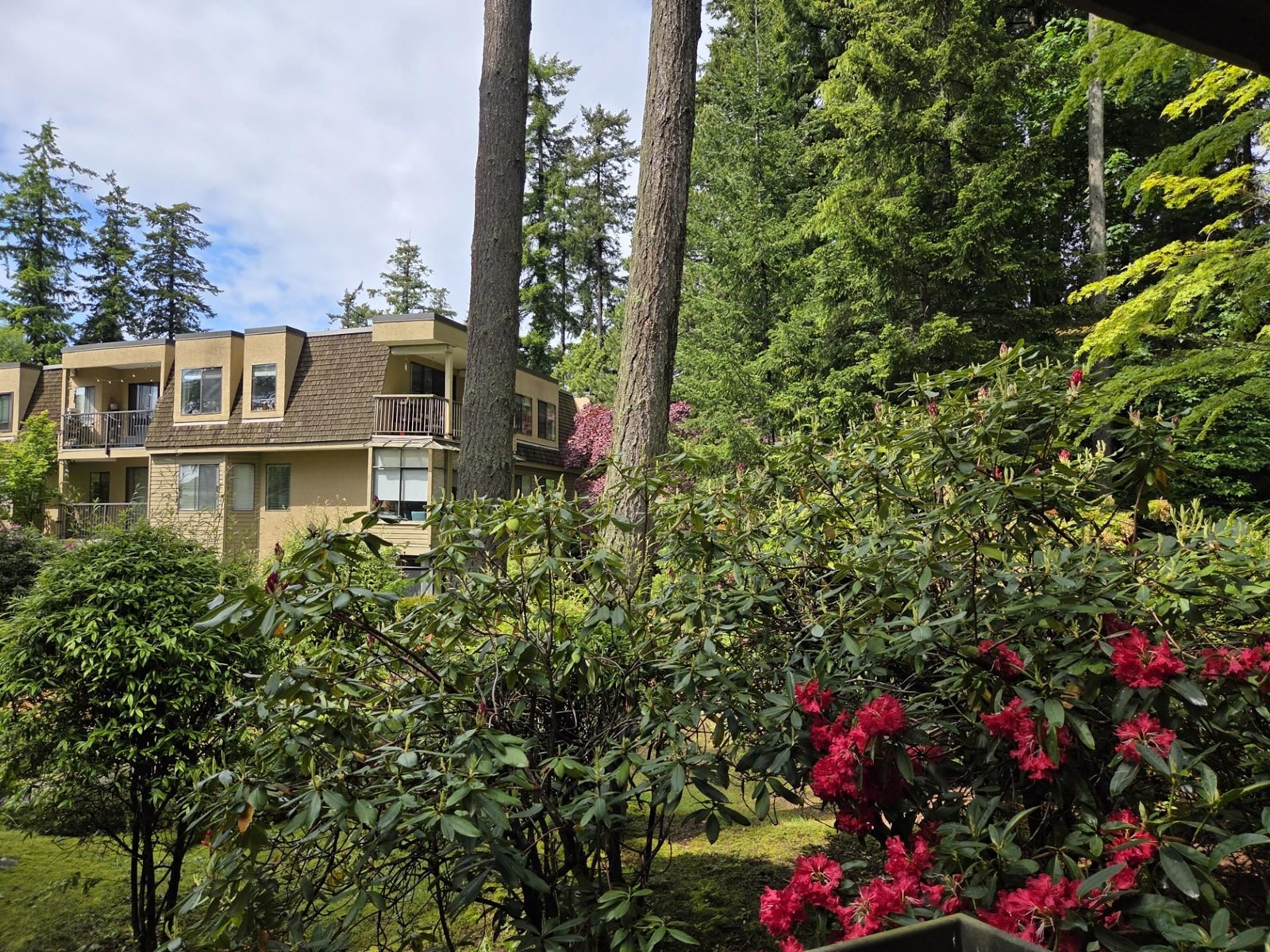 113 1740 Southmere Crescent, Surrey, British Columbia  V4A 6E4 - Photo 24 - R3012200